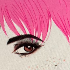 Meet your Posher, Robin